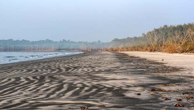 Bangladesh has announced the steady comeback of the Batagur baska, or northern river terrapin — one of the world's rarest freshwater turtles.