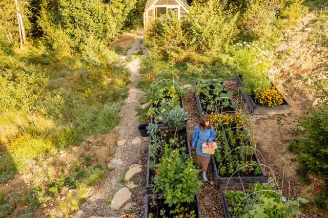 One Redditor shared a cautionary tale of starting an off-grid community with friends, revealing how, over a decade, ongoing legal issues and partnership troubles crushed their optimism.