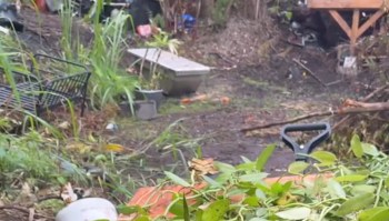 Hawaiʻi Big Island dwellers came across a mega-find while weeding new, off-grid property and opted to take an old-school approach in getting rid of it.