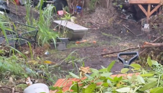 Hawaiʻi Big Island dwellers came across a mega-find while weeding new, off-grid property and opted to take an old-school approach in getting rid of it.