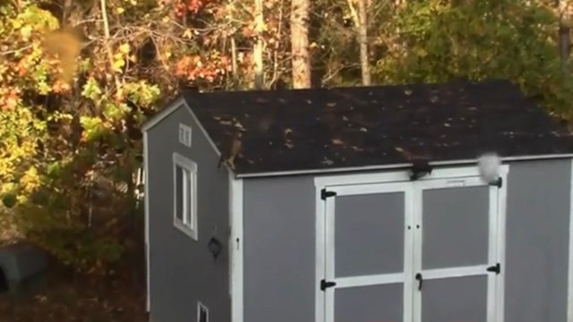 One homeowner got to see a red-shouldered hawk up close and personal in their backyard.