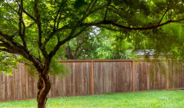 Having native plants in your backyard can attract amazing wildlife, as one family found out when an owl visited their garden.