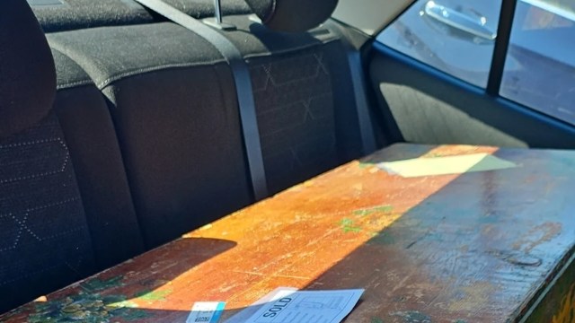 On r/Antiques, one Reddit user shared their incredible find — a large, beautifully painted chest they'd bought for just $7 at a thrift store.