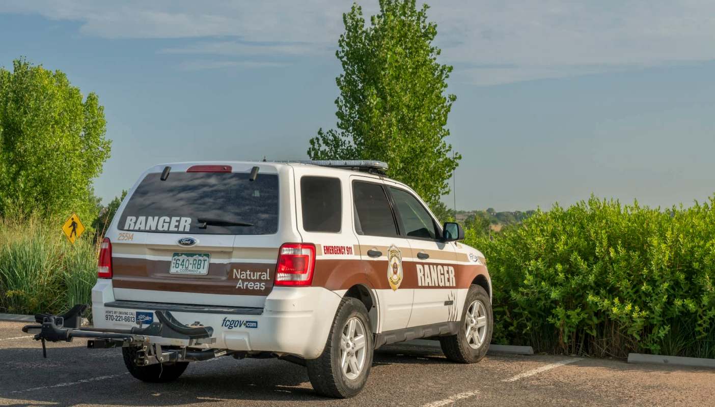 The pangolin holds the grim distinction of being among the most trafficked mammals on Earth.