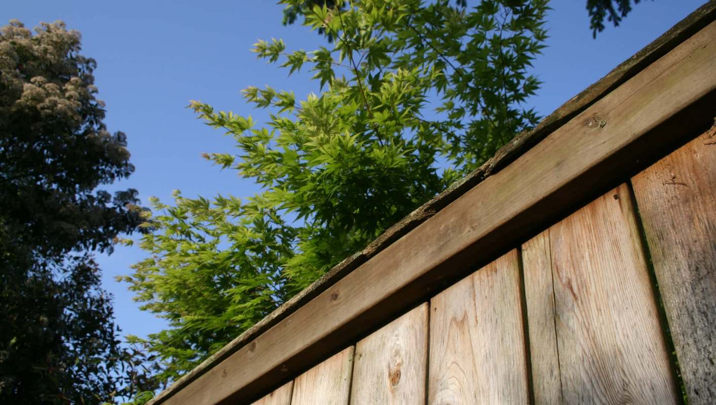 A bewildered homeowner in California took to Reddit to seek advice about an ongoing dispute with a neighbor over a tree wreaking havoc in their yard.