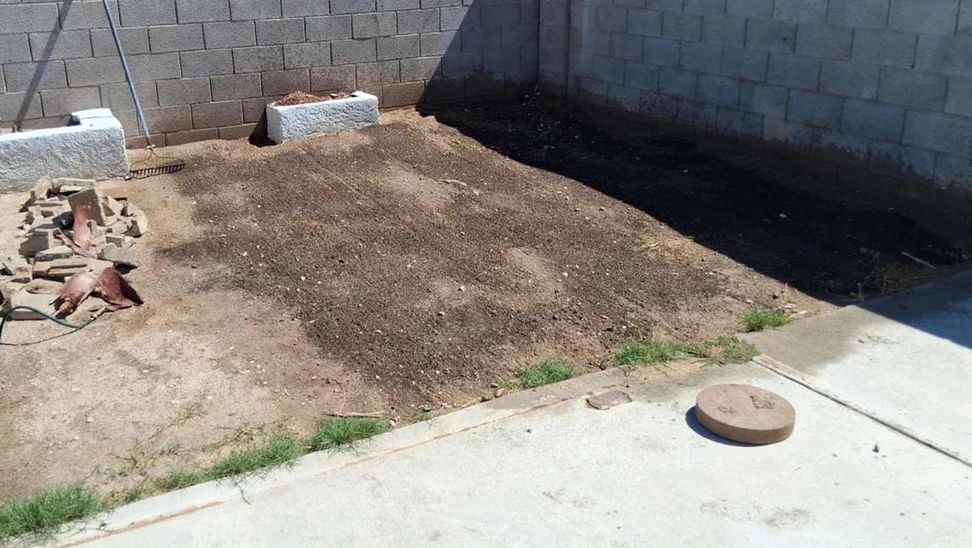 One Redditor shared their incredible permaculture garden transformation, revealing how they turned a small, barren plot into a lush paradise.