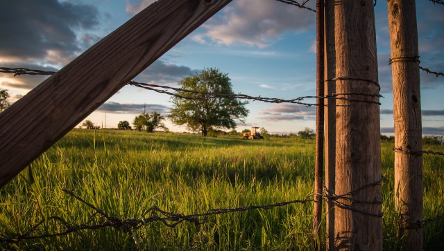 A Texas homeowner took to Reddit to share a bizarre sight: pet rhinos on their neighbor's property.