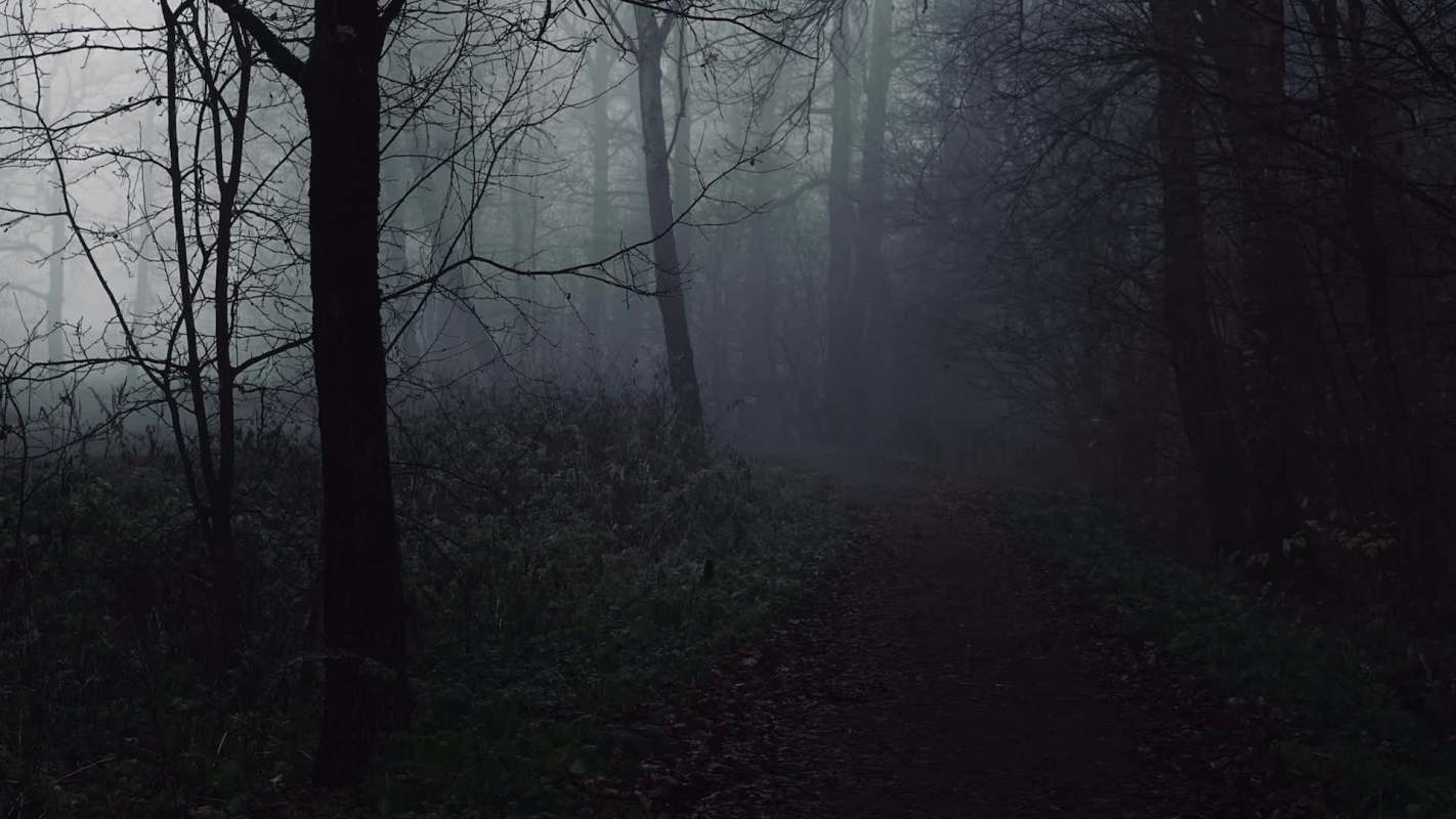 Trail cameras in England caught sight of a mammal that is critically endangered in the area: a pine marten.