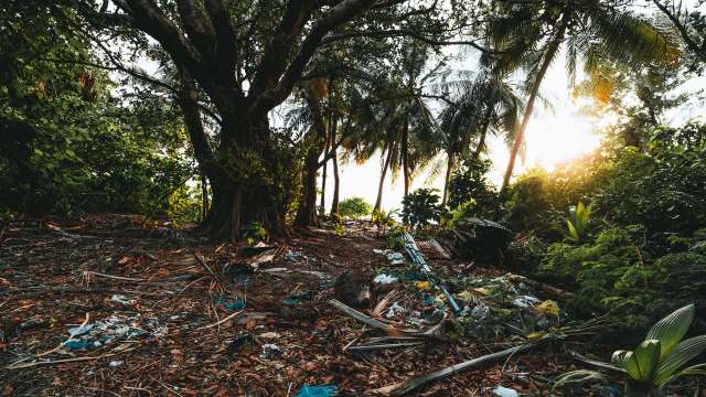 Plastic pollution is set to explode by 2040, according to a new report.