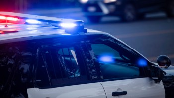 Uttar Pradesh's Special Task Force seized a vehicle trafficking protected turtle species. The $23 billion illegal wildlife trade is a severe threat to ecosystems.