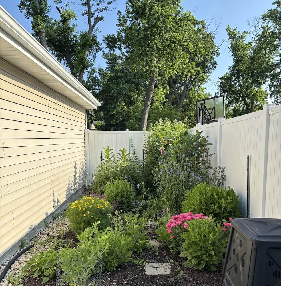 A proud homeowner shared the amazing transformation of part of their grassy lawn into a beautiful pollinator patch.