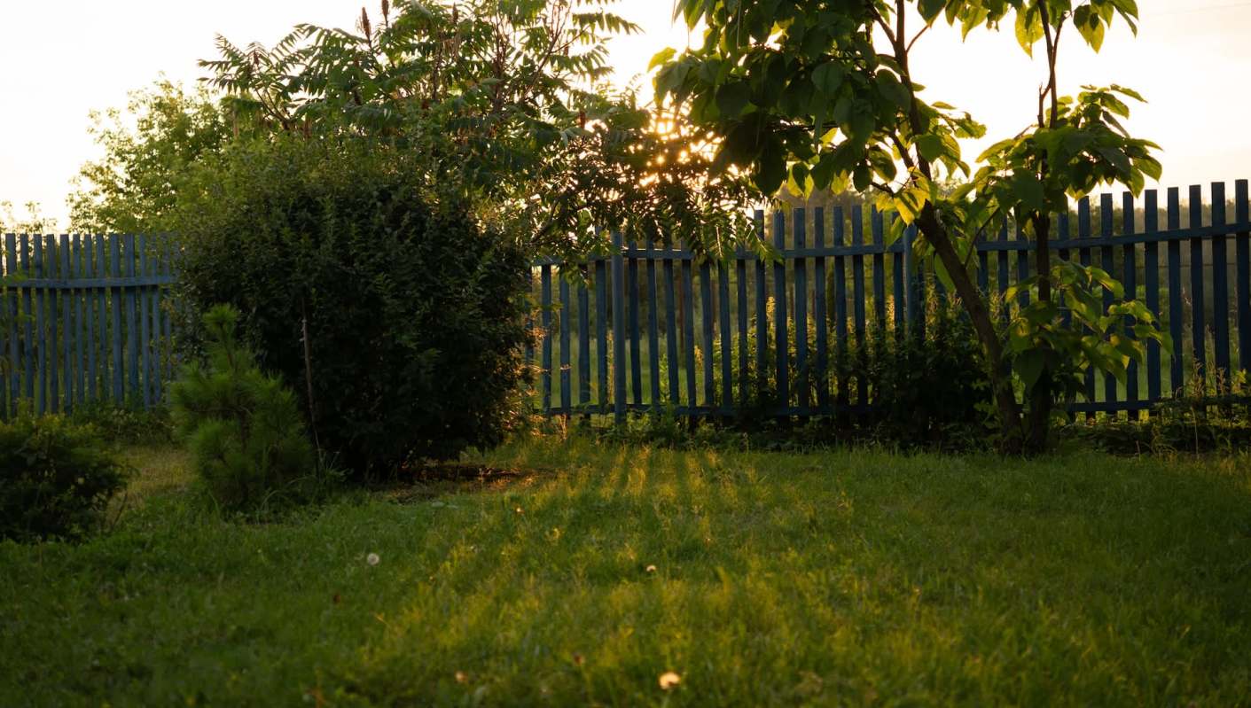 This gardener has a friendly relationship with the possums who snack in their garden.
