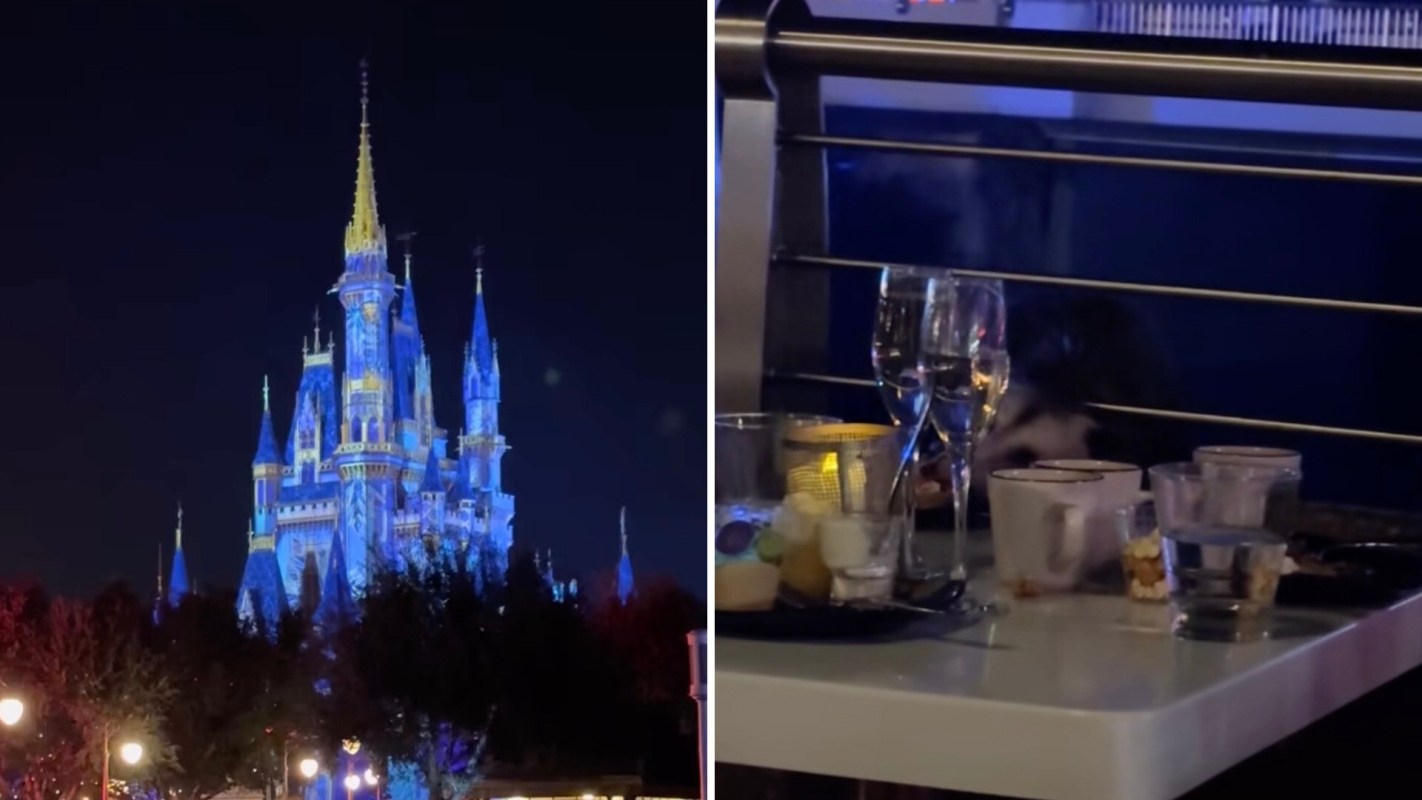 A viral TikTok shows a possum invading a Disney World dining area.