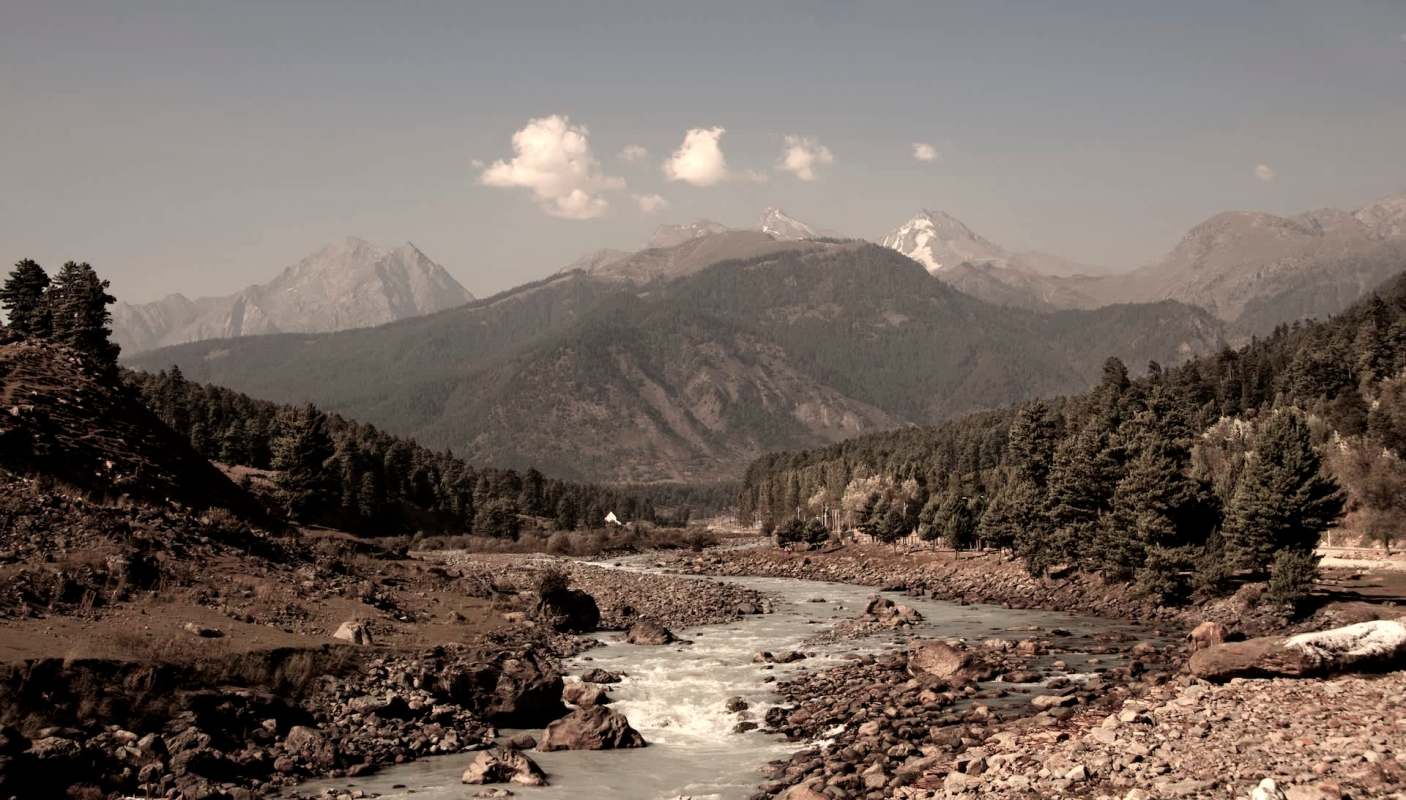 Villagers first spotted the huge bear struggling in a northern Indian stream and called for help.