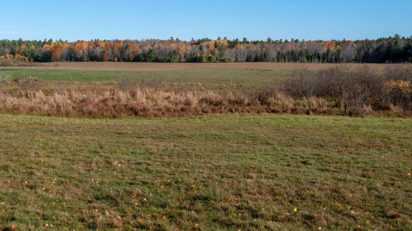 A string of bad weather has led to a significant produce shortage in the Northeast.