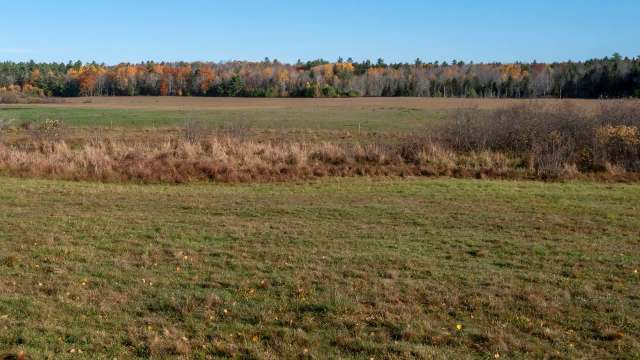 A string of bad weather has led to a significant produce shortage in the Northeast.
