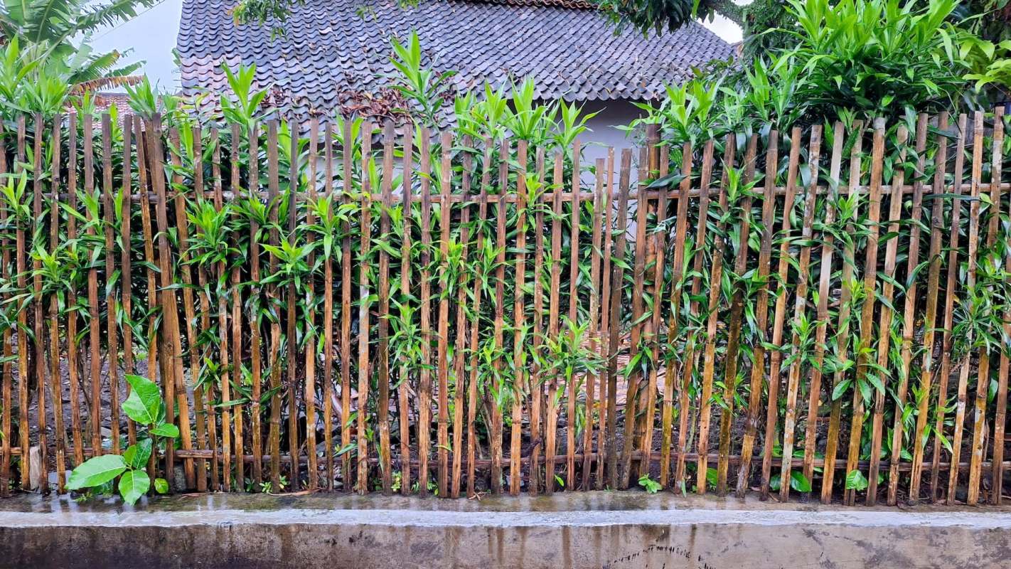 Dealing with unruly or disrespectful neighbors can be frustrating, especially when it triggers a property line dispute.