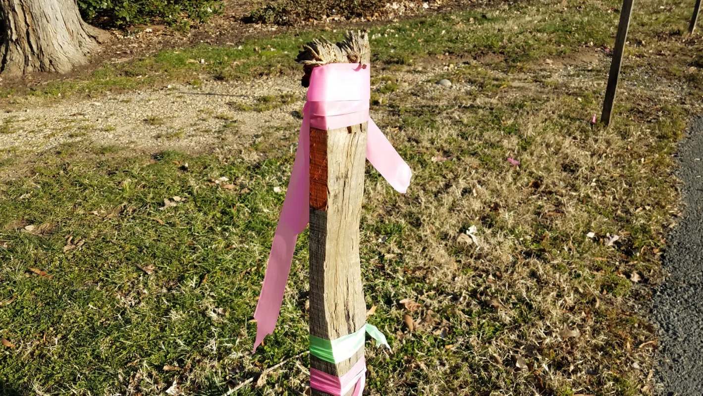 One Redditor asked how to handle a neighborhood dispute over property lines.