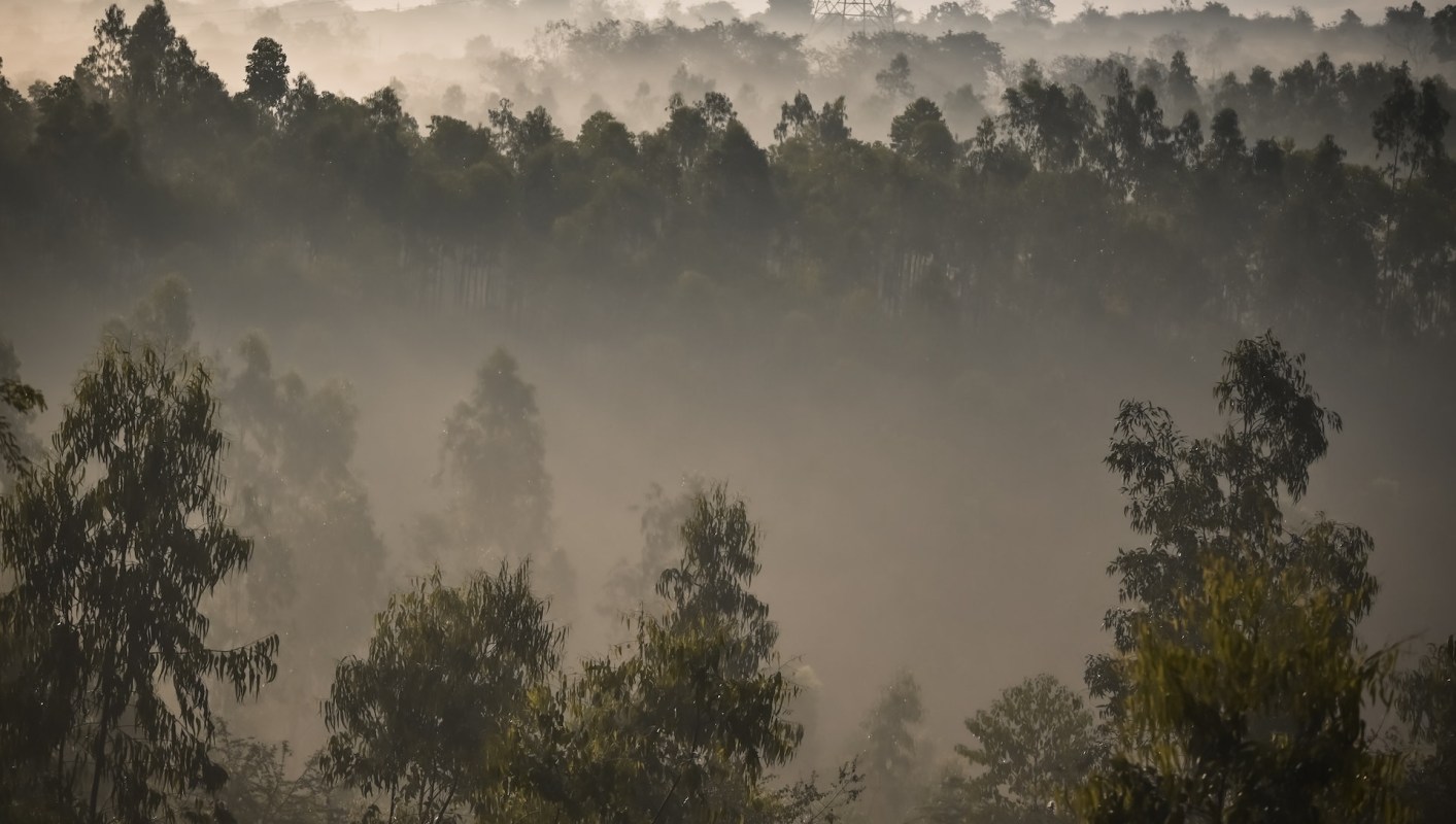 A new study shows that the extraction of fossil fuels from protected forests could release 317 billion metric tons of greenhouse gases.