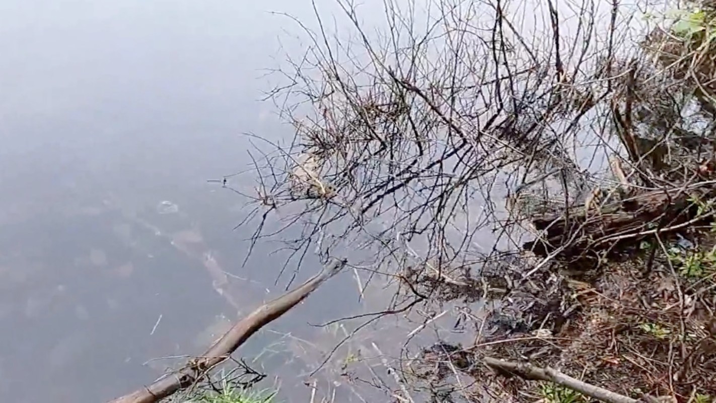 A short video showed an incredible amount of plastic trash discarded along the shore of a lake where it ruined the scenery and could harm wildlife.
