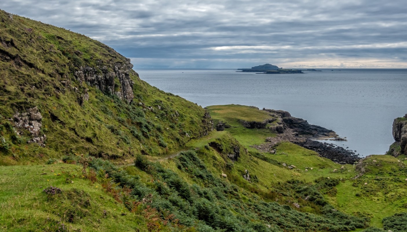 When Ulster Wildlife took over the conservation management of the seabird sanctuary on the Isle of Muck 25 years ago, puffins (and other seabird species) had disappeared.