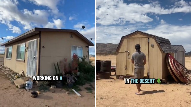 Puncturevine plants have caused a pair of desert homesteaders a serious pain in the foot.