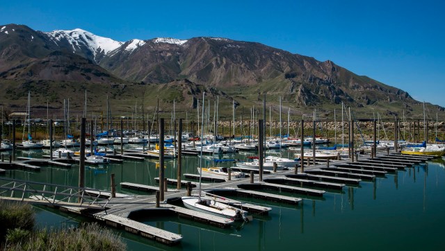 To fight invasive quagga mussels, Utah's officials inspected over 288,000 boats in 2025, performing thousands of decontaminations.