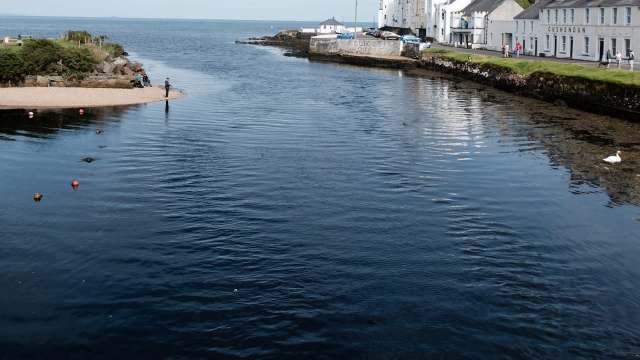 Officials are sounding the alarm after confirming the first-ever detection of highly invasive quagga mussels in Northern Ireland.