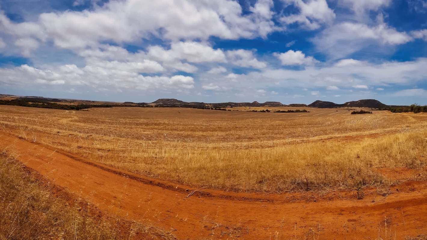Farmers in Western Australia have issued a warning about the drastic increase in rabbit populations and the damage this increase is causing.