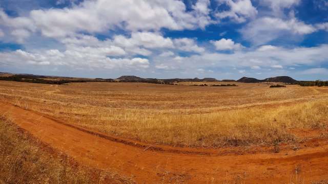 Farmers in Western Australia have issued a warning about the drastic increase in rabbit populations and the damage this increase is causing.