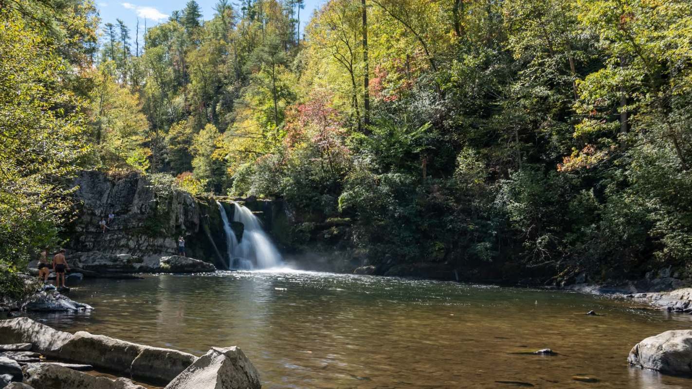 Dozens of species of Abrams Creek in the Great Smoky Mountains National Park were devastated by the introduction of rainbow trout in 1957.