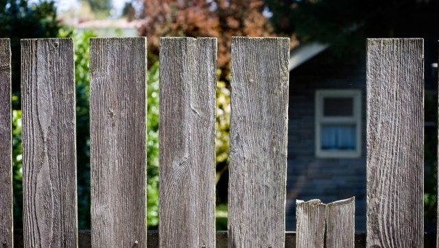 Residents in a Toronto neighborhood are reeling from a rat infestation, and one person caused the problem by feeding them.