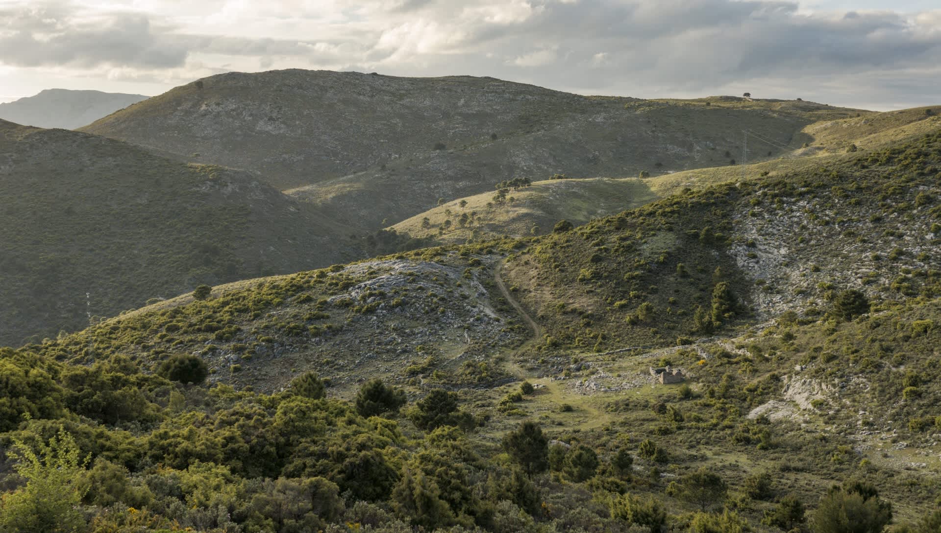 Researchers confirm stunning recovery of creatures nearly driven to extinction: 'Really an eye-opener'