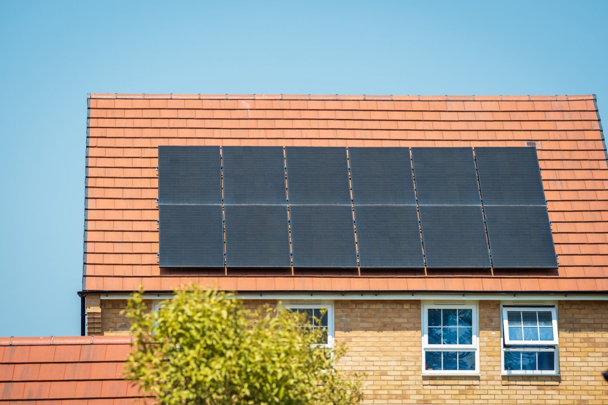In a viral Reddit post, a homeowner shared their biggest solar regret — and it definitely wasn't installing too much.