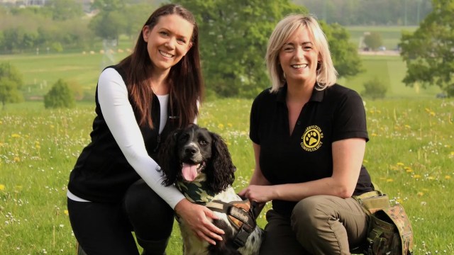 A springer spaniel named Henry was named the International Fund for Animal Welfare's Animal of the Year for his conservation work.