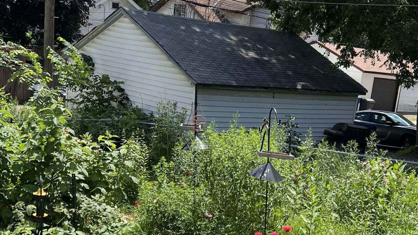 A post in the r/Minnesota_Gardening subreddit is drawing attention for its spotlight on rewilding a backyard.