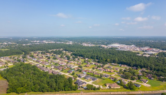 An invasive insect, the rice delphacid, is spreading across Texas' rice country, alarming researchers, farmers, and environmental advocates.