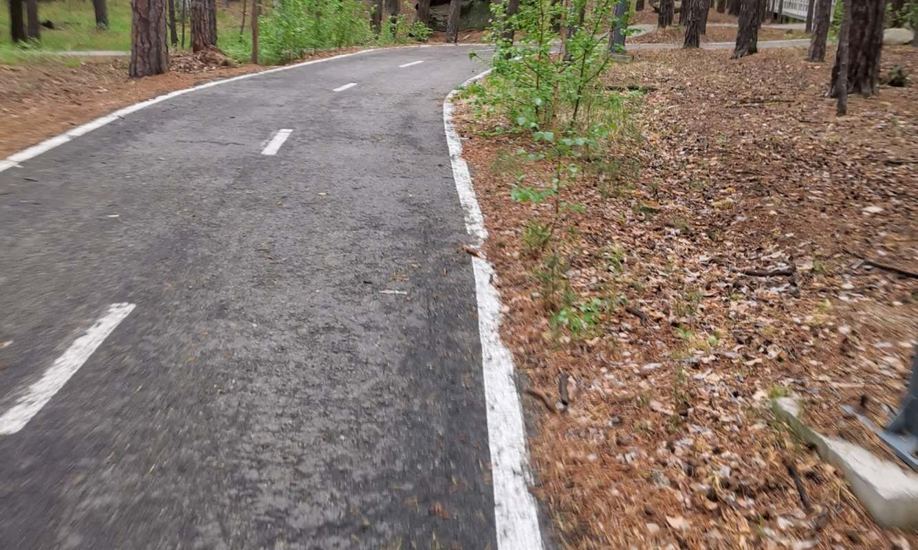 A Florida woman was arrested for driving on the bike lane, chasing down a teenager who was riding an electric bike.