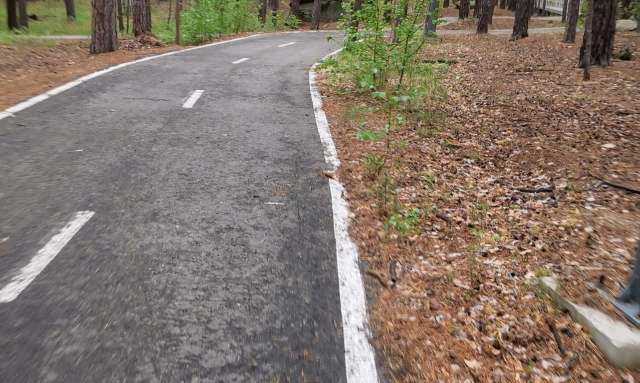 A Florida woman was arrested for driving on the bike lane, chasing down a teenager who was riding an electric bike.