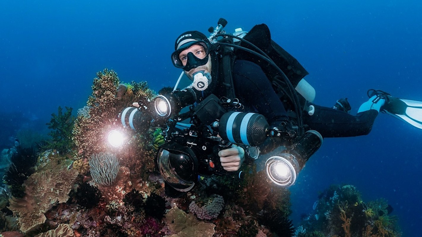 Diver John Roney shared mesmerizing video footage from his last dive — a close-up of the world's largest lion's mane jellyfish.