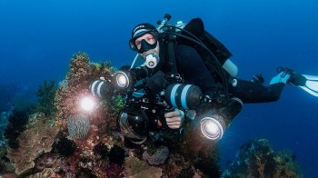 Diver John Roney shared mesmerizing video footage from his last dive — a close-up of the world's largest lion's mane jellyfish.