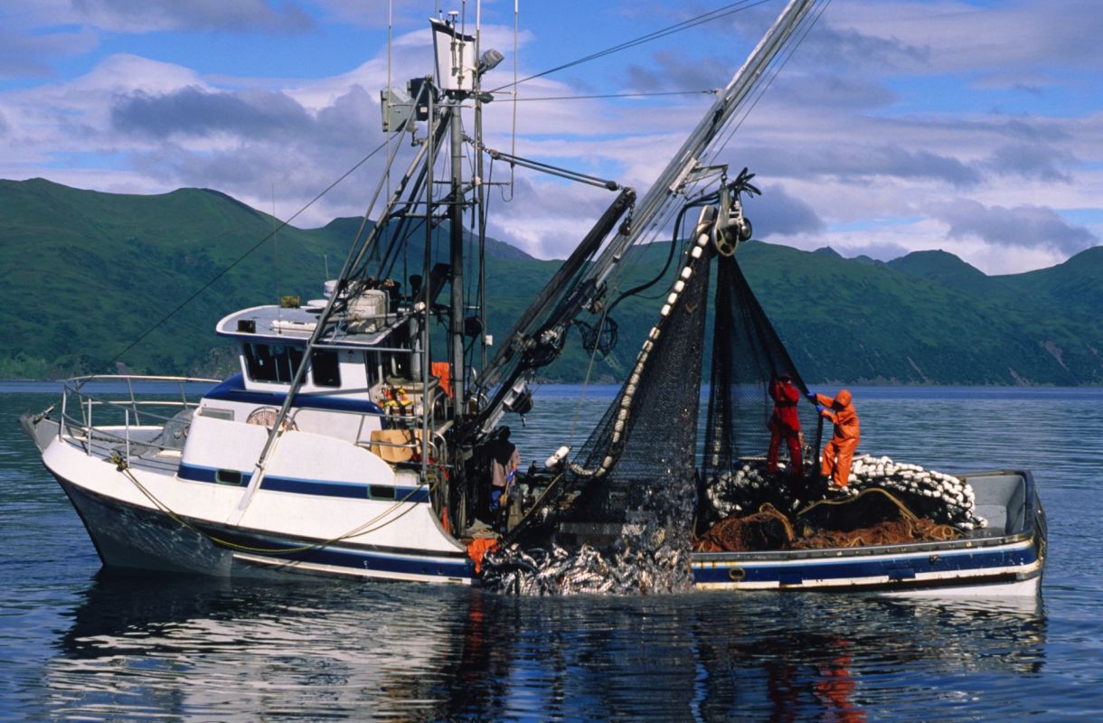 The rapid loss of sea ice across the globe is endangering the tiny algae that feed polar ecosystems.