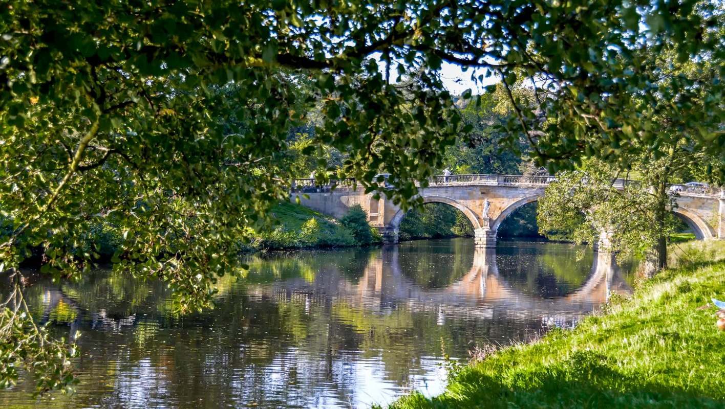 Salmon parr were discovered in an English river for the first time in a century, thanks to a conservation effort.