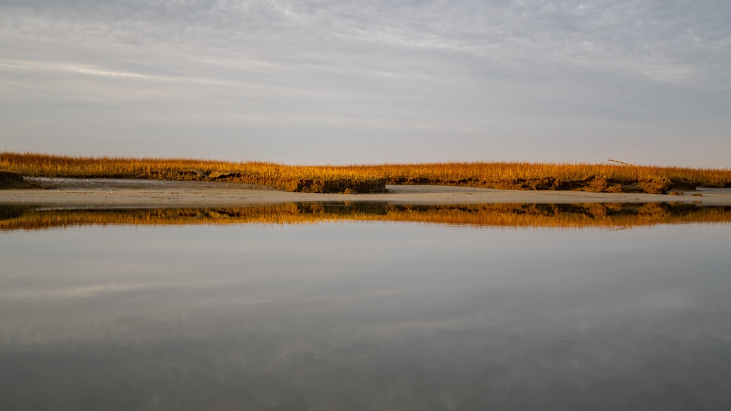 Researchers from the University of Georgia have spent more than a decade studying the health of Georgia's iconic salt marshes, and they have made some troubling discoveries.