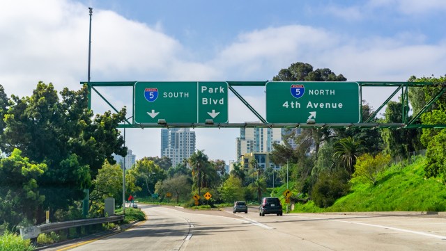 A TikTok video is raising alarms after a sea lion was spotted stranded on a freeway in San Diego.