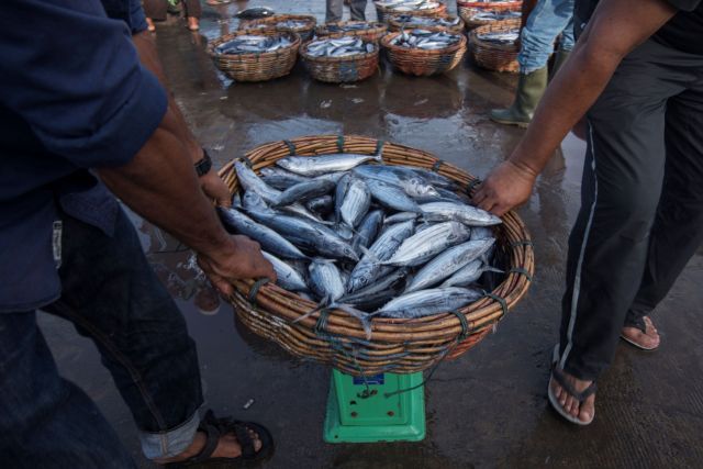 To protect local communities and an expanding export market, the Indonesian government is setting up seafood safety testing labs.