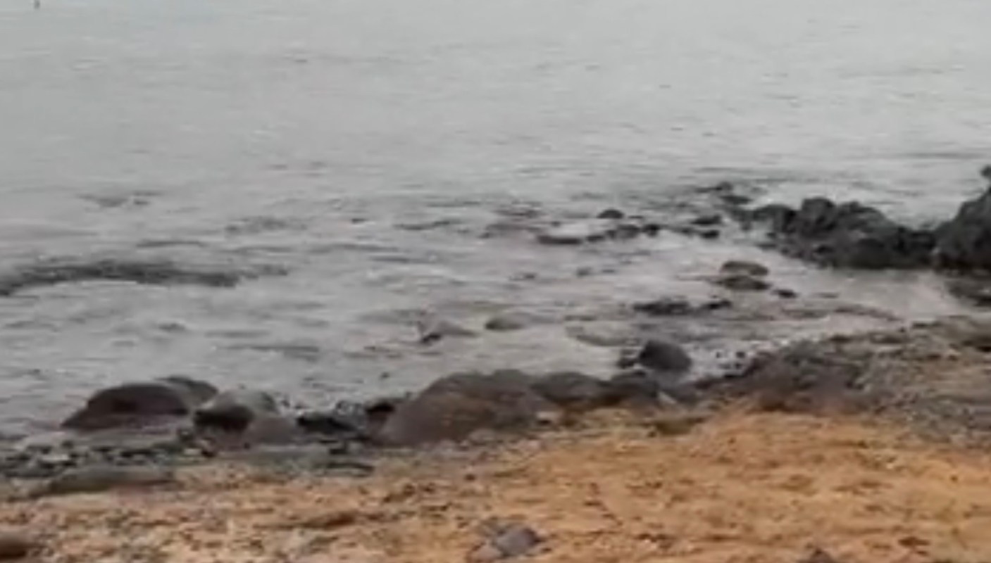One infuriated Redditor shared a shocking video of seal harassment by tourists in Iceland and asked for advice.