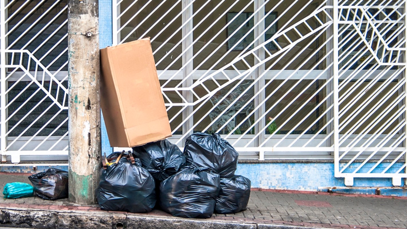 Some people get really lucky and find secondhand Christmas decorations for free or cheap — like this Redditor.