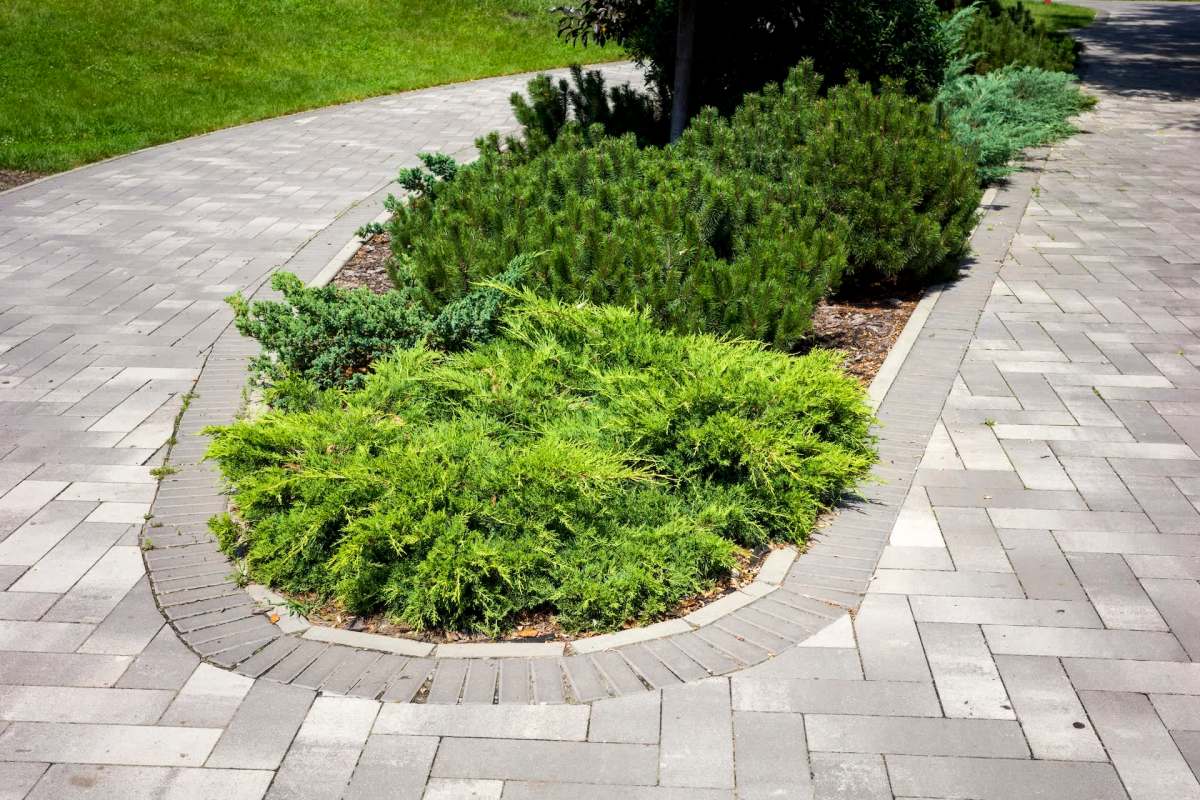 A Reddit post in r/landscaping highlights the challenge of communal living and what happens when shared outdoor spaces don't feel so shared anymore.