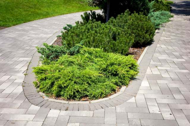 A Reddit post in r/landscaping highlights the challenge of communal living and what happens when shared outdoor spaces don't feel so shared anymore.